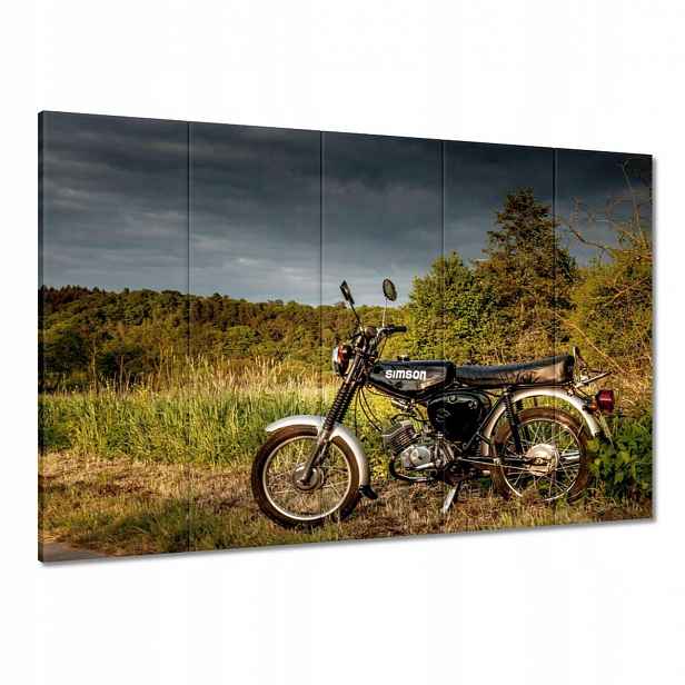 Obrazy 100x70 Černý Simson venku