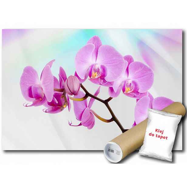 Fototapeta Růžová Orchidej 9D F2XL 312x219 F116
