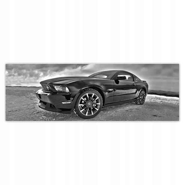 Fototapety 200x66 Ford Mustang na sněhu Auto Klasika vyrobeno v Usa