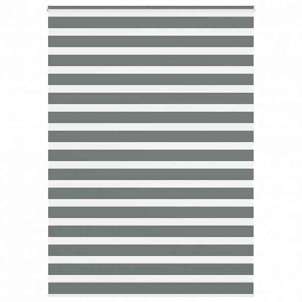 vidaXL Zebra roleta tmavě šedá 165x230cm šířka látky 160,9cm polyester