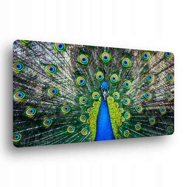 Skleněná krájecí deska 25x45 keramika
