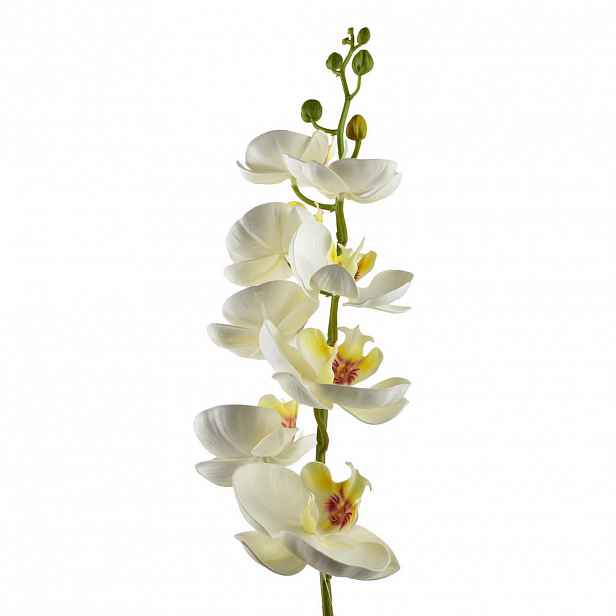 Mondex UMĚLÁ ORCHIDEJ, bílá
