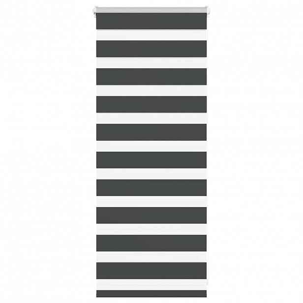 vidaXL Zebra roleta černá 65x100 cm šířka látky 60,9 cm polyester