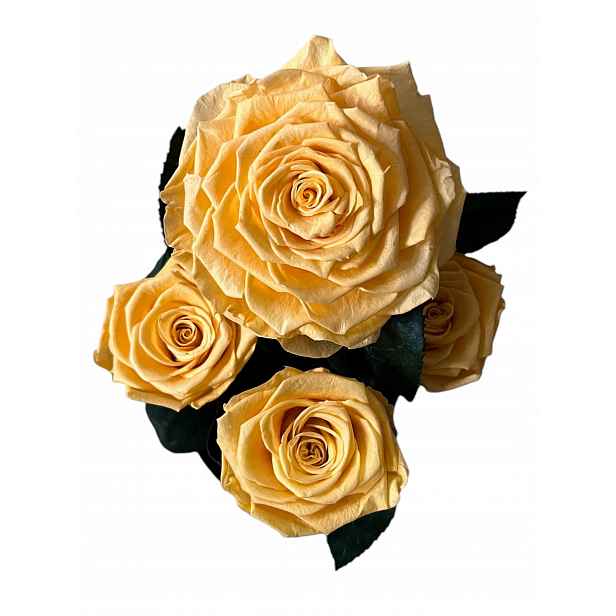 Flower Box Věčné Růže Ve Skle – Dárek Pro Ni