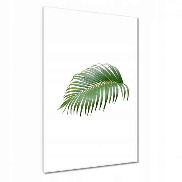 Obrazy 60x90 Zelený list Minimalismus
