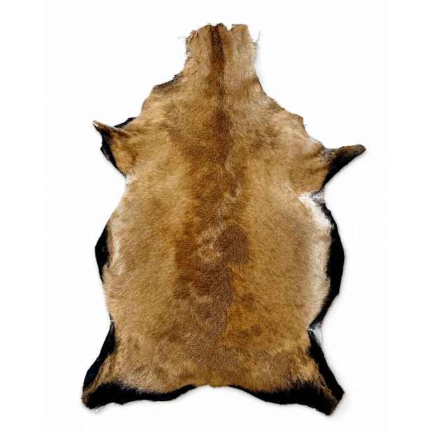 Ovčí kůže „kameruňská“ Světle hnědá – 70 cm/M (Jehněčí) 100% přírodní!