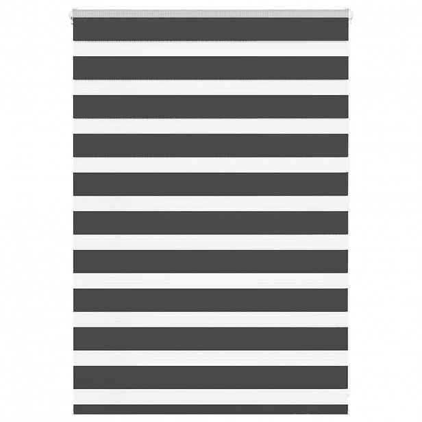 vidaXL Zebra roleta černá 100x100 cm šířka látky 95,9 cm polyester