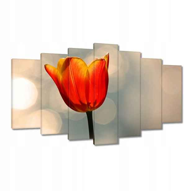 Obrazy 140x80 Oranžový tulipán