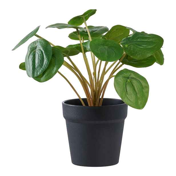 Umělá rostlina (výška 28 cm) Pelia – House Nordic