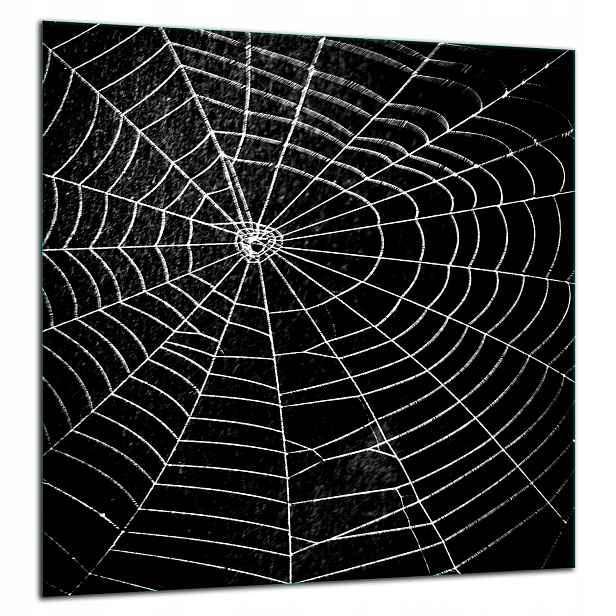 Skleněná Ochranná Deska Panel Lepidlo 60x65 Černá