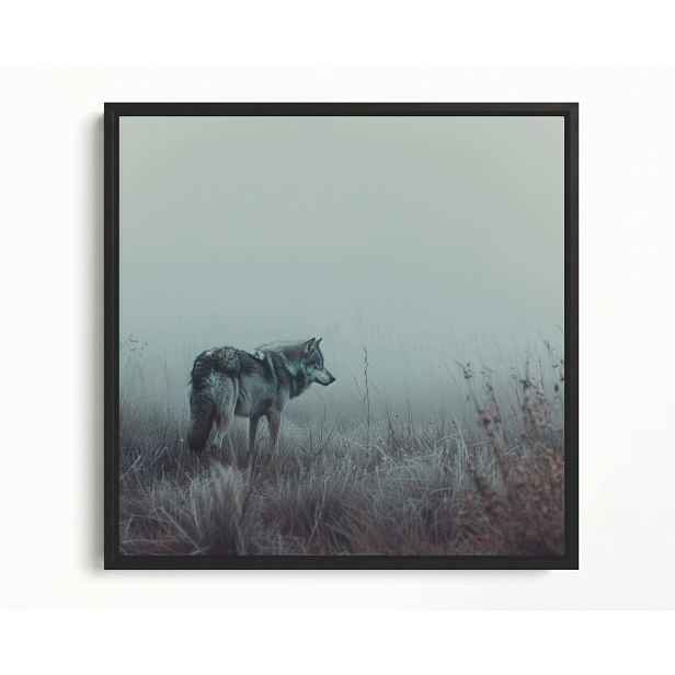 Obraz Rám Americký Box Fauna Zvíře Šedý Vlk Mlha Příroda Zima 60x60