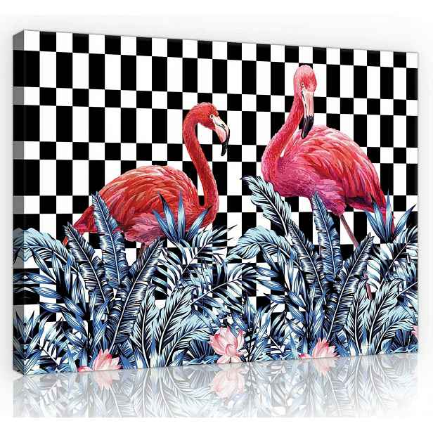Obraz Na Plátně Canvas 70x50 Plameňák Pták Listy