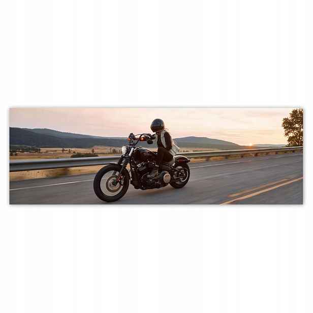 Plakáty 200x66 Harley Davidson Motocykl