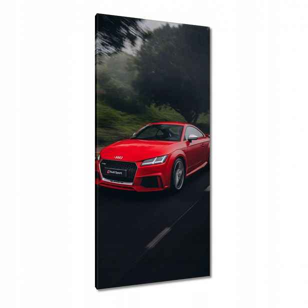 Obrazy 55x115 Červené Audi Auto