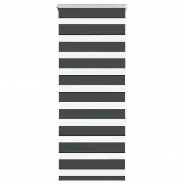 vidaXL Zebra roleta černá 60x150 cm šířka látky 55,9 cm polyester