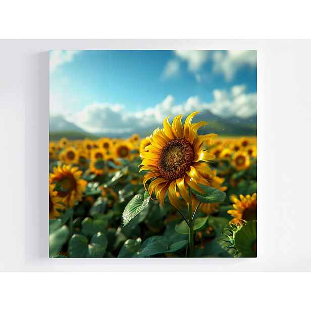 Obraz Na Plátně Canvas Příroda Květ Slunečnice Slunce 60x60
