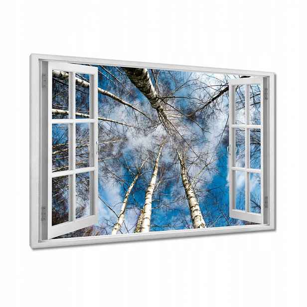 Obrazy 90x60 Břízy