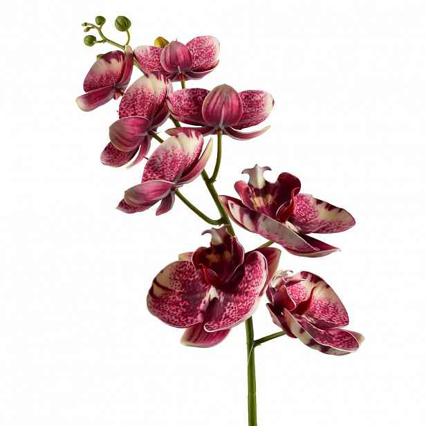 Mondex UMĚLÁ KVĚTINA Orchidej
