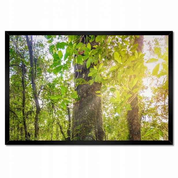 Plakáty v rámu 60x40 Pěší výlet