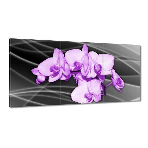 Obrazy 180x90 Pěkný květ orchidej fialový
