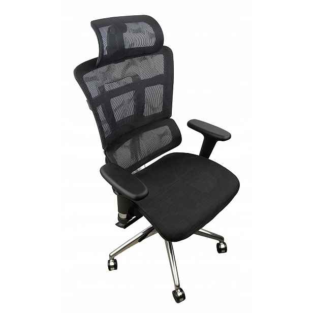 Ergonomické kancelářské křeslo Otočné kancelářské křeslo Nastavitelné Černé Ergo