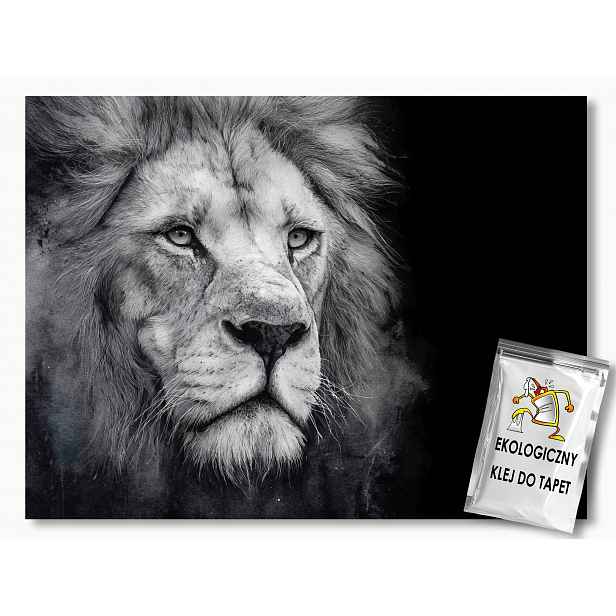 Fototapeta Flizelina Fauna Příroda Afrika Portrét Lev B&w 416x290 130g