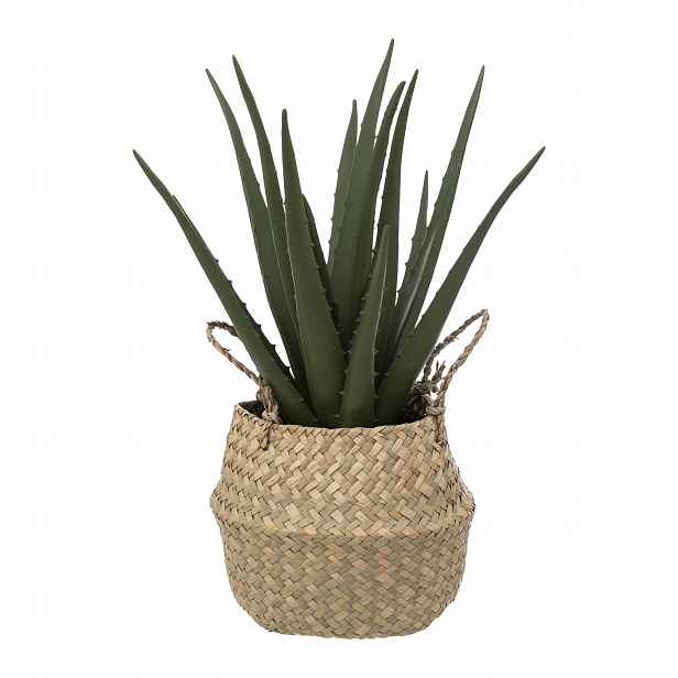 Umělá Rostlina v béžovém košíku Aloe 37 cm