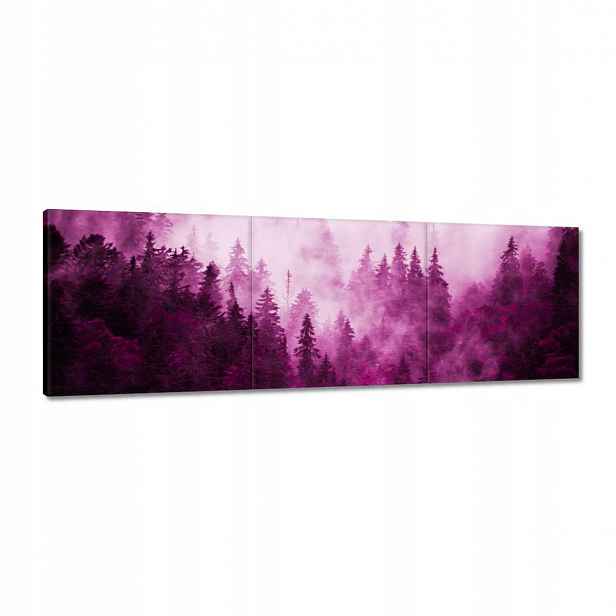 Obrazy 120x40 Krajina růží Hory Mlha