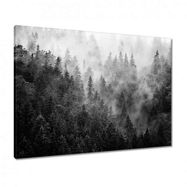 Obrazy 80x60 Krajina Šedá Hory Mlha