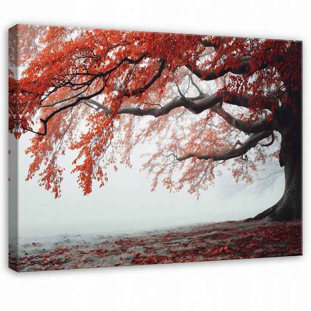 Wallarena OBRAZ na plátně Strom v mlze oranžový 60x40 cm