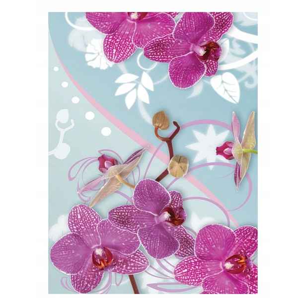 Vliesová fototapeta Fialové orchideje Modré pozadí Květiny 206x275 lepidlo