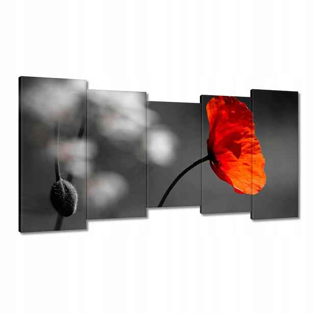 Obrazy 150x80 Rozkvetlý červený mák
