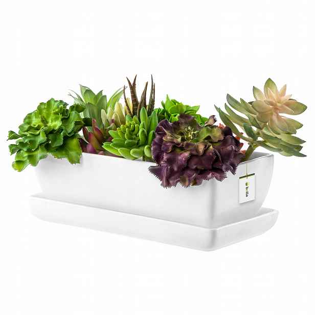 Kaktusová květináč Keramika bílý lesk 29 Cm podstavec sukulenty kaktusy