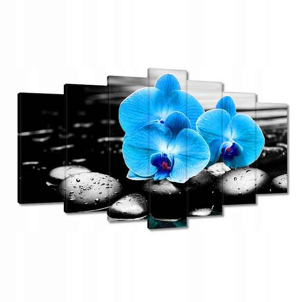 Obrazy 140x80 Tyrkysový orchidej Květina