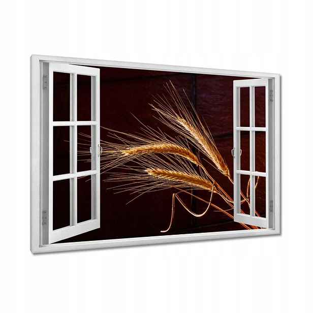 Obrazy 90x60 Plné klasy