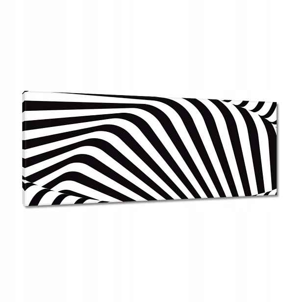 Obrazy 100x40 Abstrackja černobílá