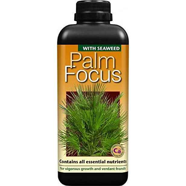 Growth Technology Palm Focus 1L hnojivo pro palmy – pro pokojové i zahradní palmy