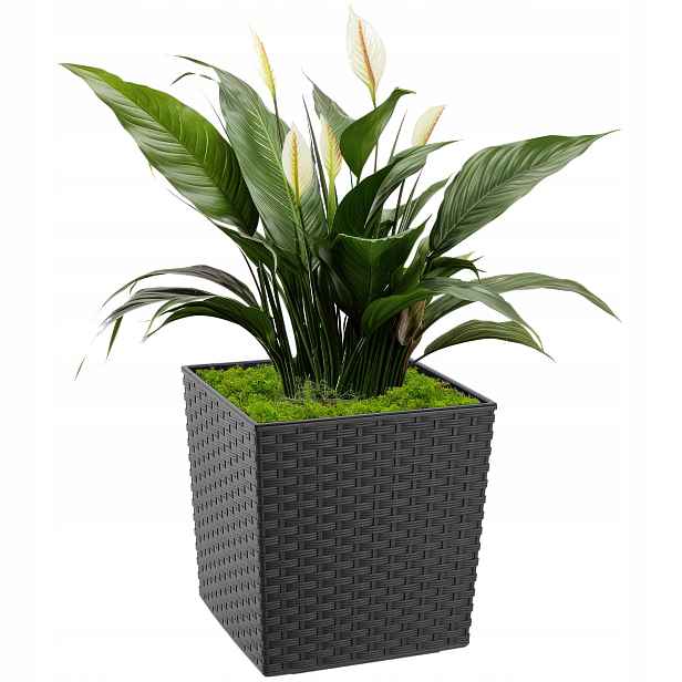 Květináč Obal Na Květináč S Vkladem Na Květiny Grafit 30cm