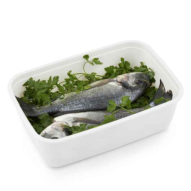 Plastové krabičky do mrazáku, Rotho FREEZE, bílá, 1 x 3,7l (30x20x9)