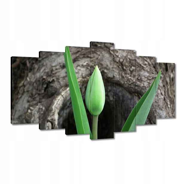 Obrazy 140x80 Zelený tulipán
