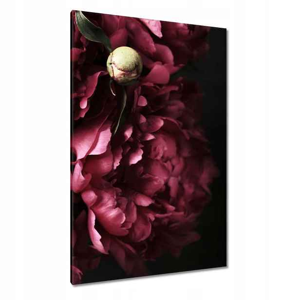 Obrazy 80x120 Krásné fialové pivoňky