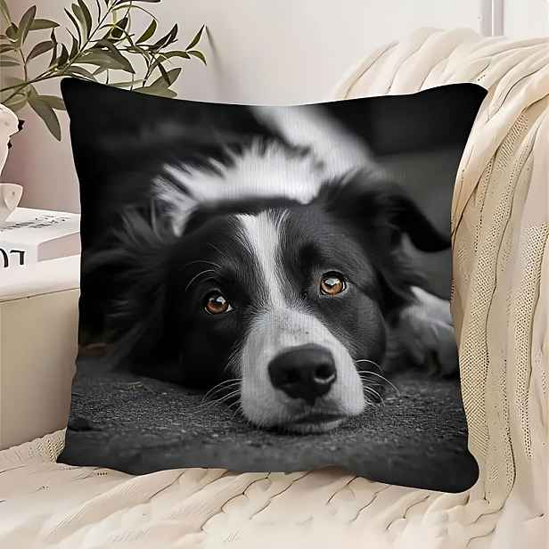 TEMU 2D plochý - 1 ks povlak na dekorativní polštář s potiskem psa Border Collie, vyrobený z krátkého plyšu, s 2D plochým potiskem a nepraktickou