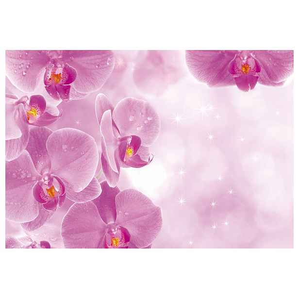 Vliesová fototapeta Růžové orchideje s Rosou a brokátem 368x254 lepidlo