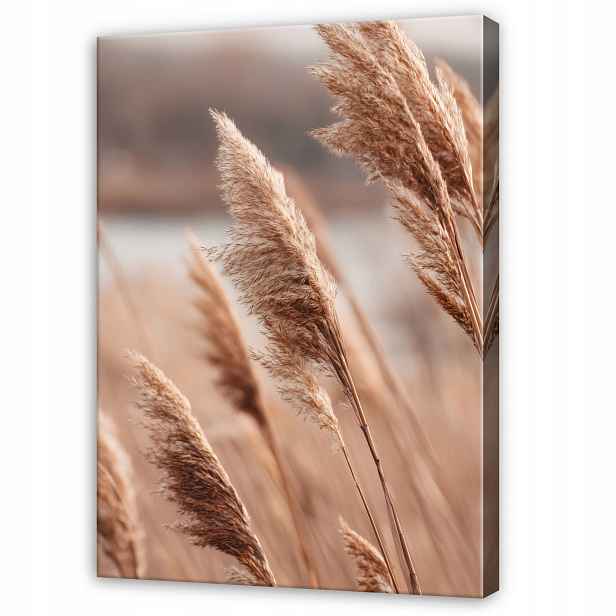 Béžový Obraz Tráva Pampasová Příroda Do Předsíně Kanceláře Moderní 120x80