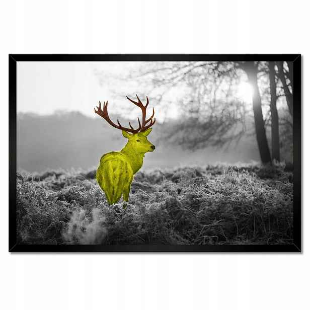 Plakáty v rámu 60x40 Žlutý jelen Les Krajina