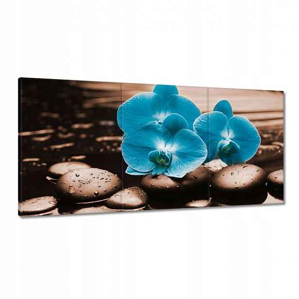 Obrazy 120x60 Tyrkysový orchidej