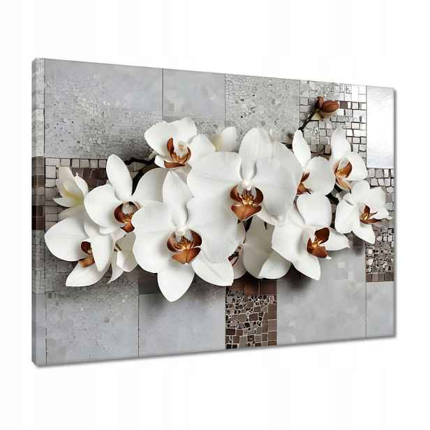 Obrazy 80x60 Bílé orchideje a mozaika