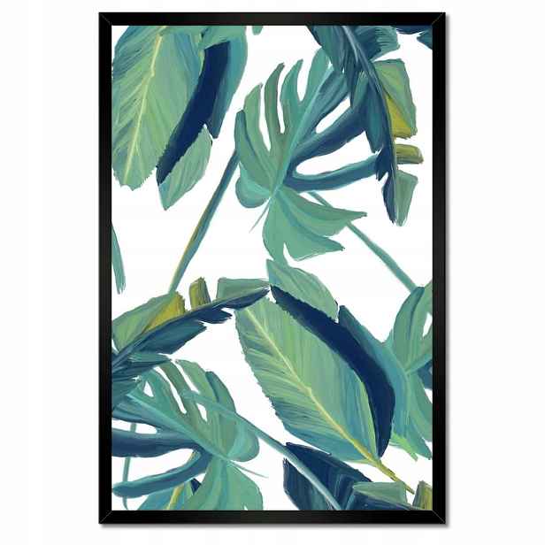 Plakáty v rámu 40x60 Monstera Listy listí