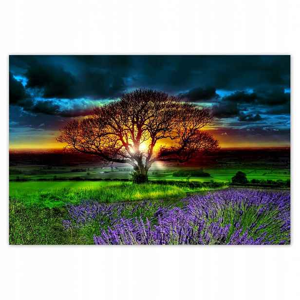 Fototapety 200x135 Strom života