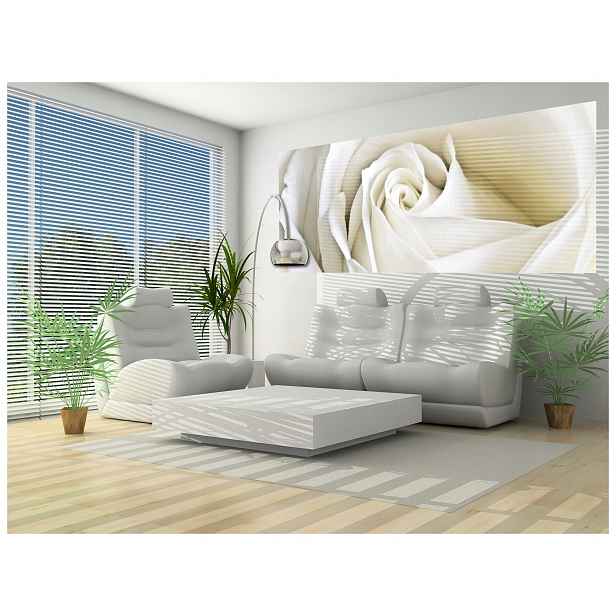 Vliesová fototapeta Bílé růže jemné okvětní lístky elegance 250x104 lepidlo